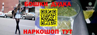сатива Кимры