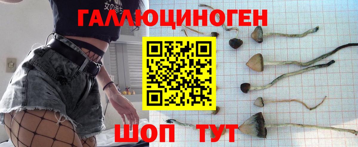 Галлюциногенные грибы ЛСД  Вход с VPN  купить наркоту  Ейск 
