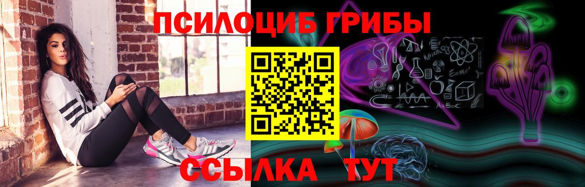 Псилоцибиновые грибы Psilocybine cubensis Ейск